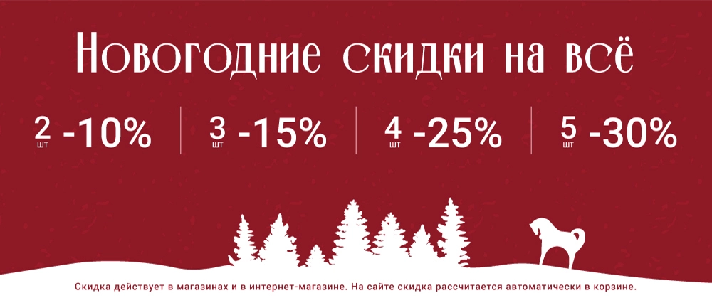 "Новогодняя акция" в Putin Team Russia: скидки до 30%